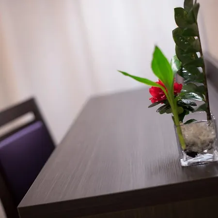 מלון Eurocentre 3* Toulouse Nord